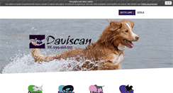 Desktop Screenshot of daviscan.com